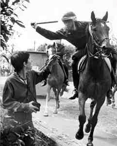 Orgreave 1984